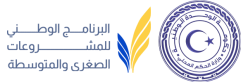 البرنامج الوطني للمشروعات الصغرى والمتوسطة